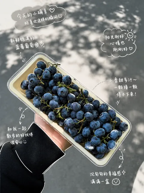 美食元素注解